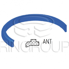 ANT